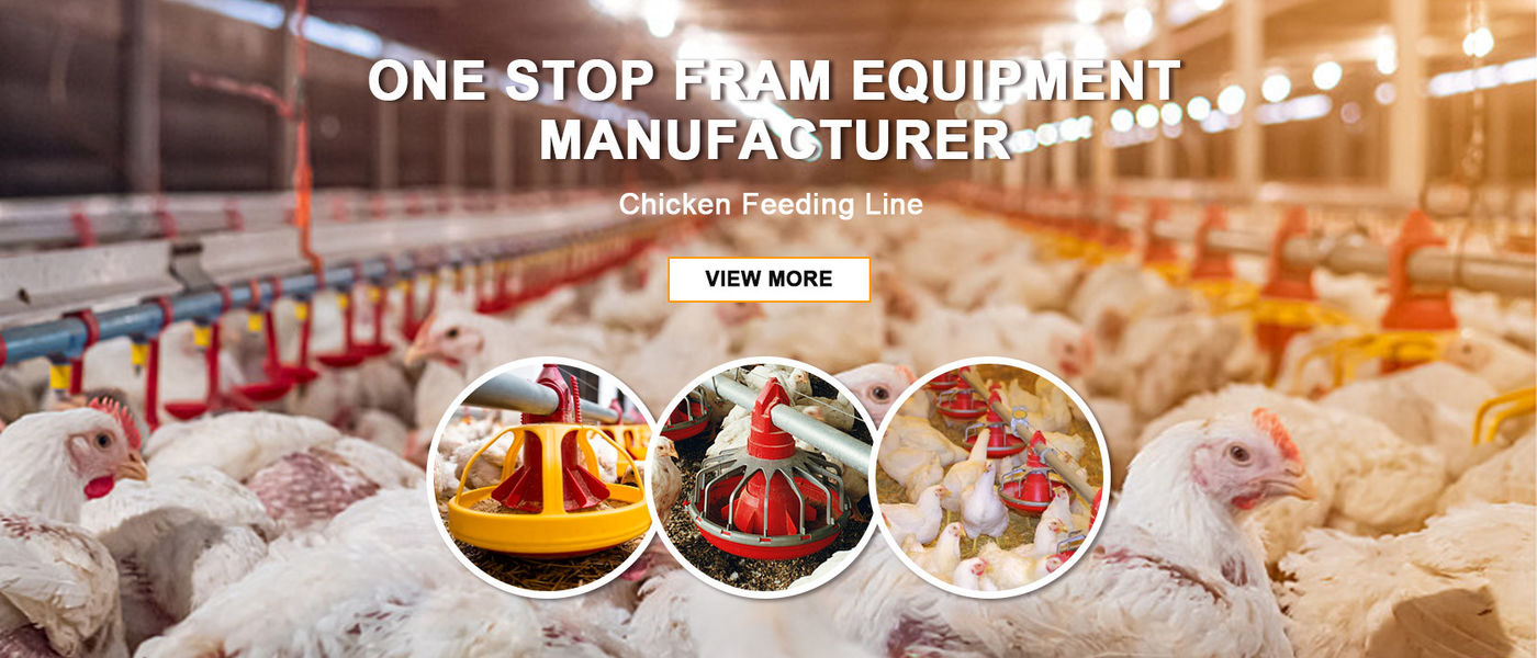 China best Poultry Feeding Pan on sales