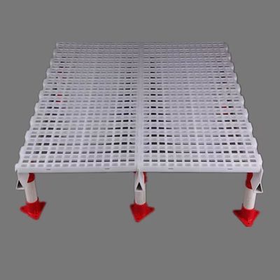 White Plastic Slatted Floor For Poultry Chicken House Floor Slats Rectangular