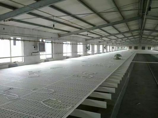 White Plastic Slatted Floor For Poultry Chicken House Floor Slats Rectangular