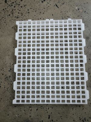 White Plastic Slatted Floor For Poultry Chicken House Floor Slats Rectangular