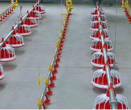 Floor Galvanized Chicken Feeding Line Automatic Feeding Machine For Poultry