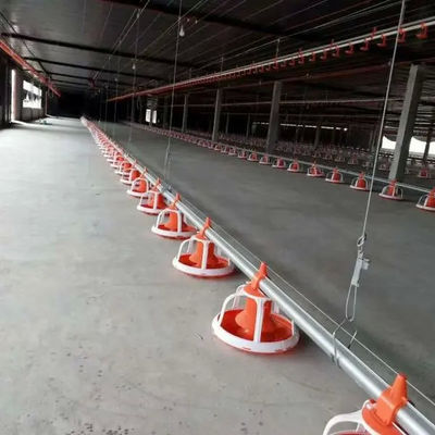 Automated Broiler Pan Feeding System Poultry Chain Feeder