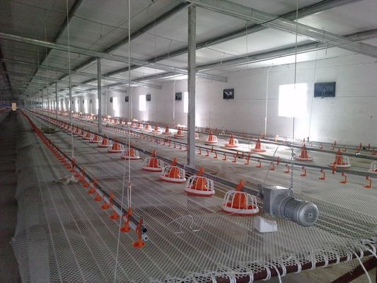 2kg-4Kg / Time Automatic Broiler Feeding System Poultry Farm Feeding System