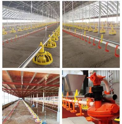 Chicken farm with automatic feeder winch main auxiliary 45 Feed Line Lifting Cup round pipe water line chicken house fee
