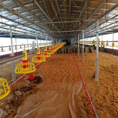 2kg-4Kg / Time Automatic Broiler Feeding System Poultry Farm Feeding System