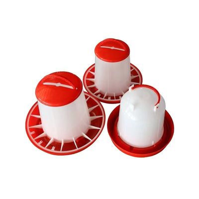 IP55 1.2L Hopper Chicken Feeder Automatically Poultry Breeding Equipment
