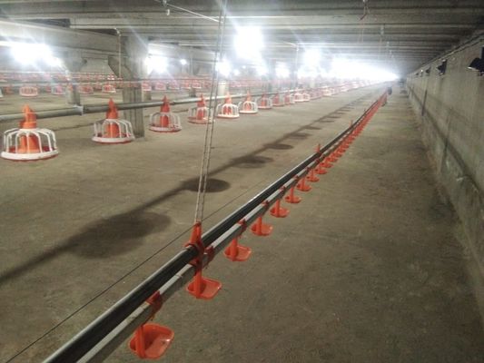 Floor Ground Chicken Water Feeding System Broiler Automatic Feeder