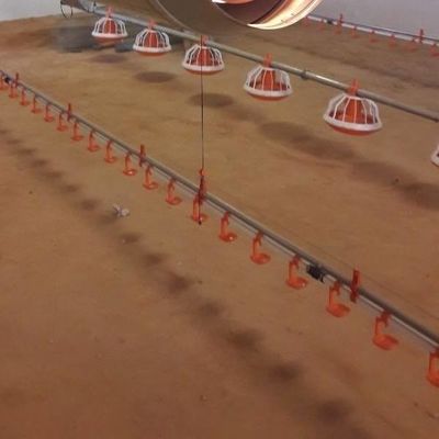 Broiler Feeding Pan Poultry Drinking Line Nipple Drinker For Quail