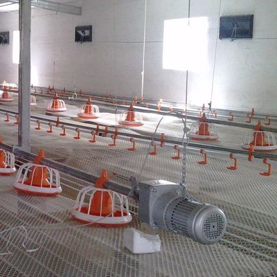 220V 50Hz Automatic Broiler Feeding System 2.2KW Stainless Steel