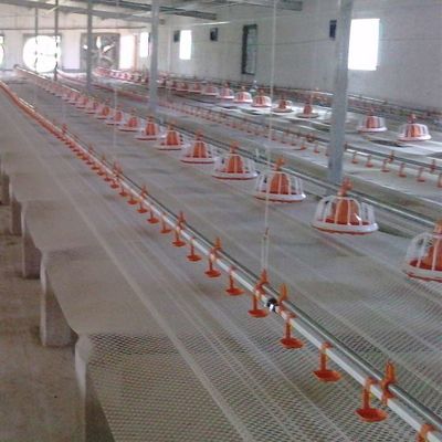 Broiler Feeding Pan Poultry Drinking Line Nipple Drinker For Quail