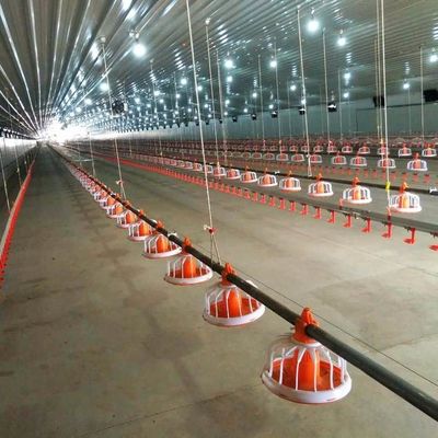 Broiler Feeding Pan Poultry Drinking Line Nipple Drinker For Quail