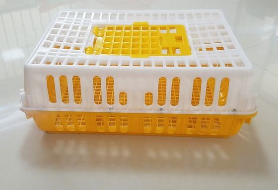 Plastic baskets for poultry turnover（Red ，Orange，yellow ）