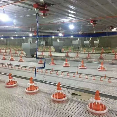 Floor Automatic Broiler Feeding System Pan Feeder Nipple System In Poultry