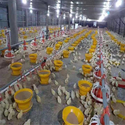 3kg 6kg 8kg Plastic Poultry Feeder Chicken Feeding Line Parts Yellow Red