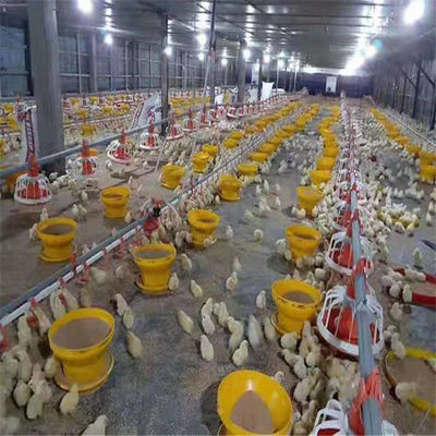 3kg 6kg 8kg Plastic Poultry Feeder Chicken Feeding Line Parts Yellow Red