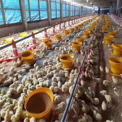 3kg 6kg 8kg Plastic Poultry Feeder Chicken Feeding Line Parts Yellow Red