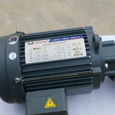 380V 50HZ 220V 60HZ Poultry Feeding System Motor Single Three Phase