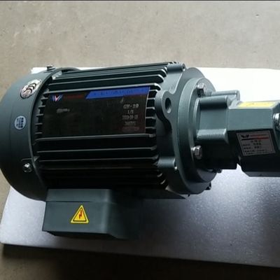 380V 50HZ 220V 60HZ Poultry Feeding System Motor Single Three Phase