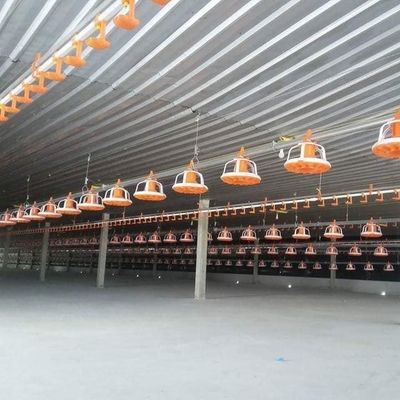 Automatic Chicken Feeder PVC Pipe Poultry Feeding Pan With Pressure Vessel