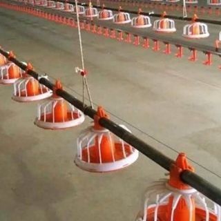 Automatic Broiler Feeder Poultry Feeding Pan Poultry Farm Accessories