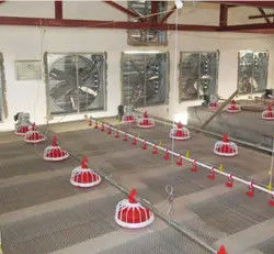 ABS Chicken Feeder Pan Automatic Pan Feeding System Red Or Yellow