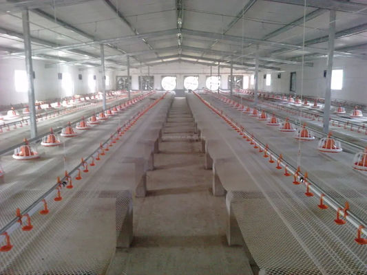 Automatic feeding pan system poultry feed pan cheap modern style