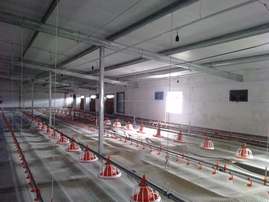Automatic feeding pan system poultry feed pan cheap modern style