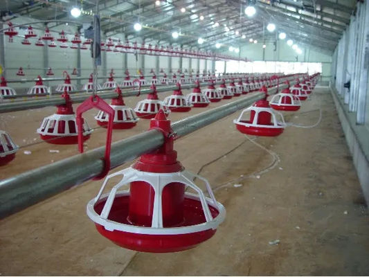 Automatic feeding pan system poultry feed pan cheap modern style