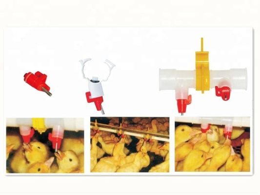 Geese 304 SS ABS Poultry Drip Drinkers Automatic Chicken Watering System