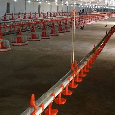 Automatic Nipple Drinker Poultry Drinking Line 0.2MPa-0.6MPa