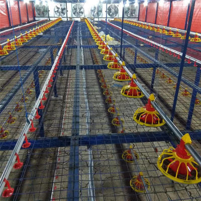 Yellow Red Broiler Feed Pan Poultry Farming Equipment Custom