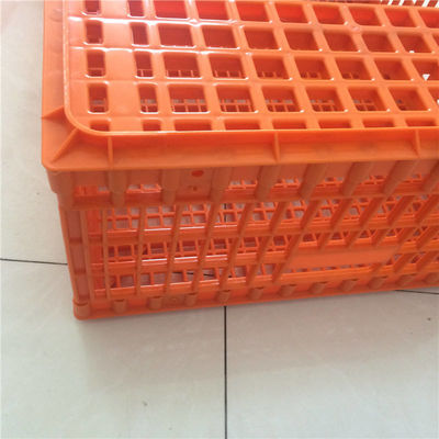 Plastic crates for the transfer of chickens