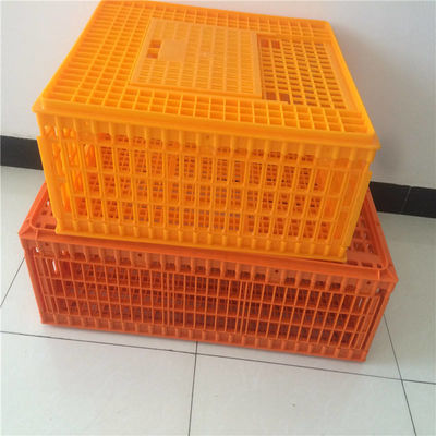 Plastic crates for the transfer of chickens
