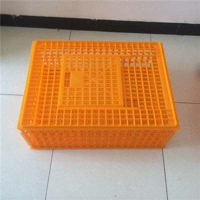 Plastic crates for the transfer of chickens