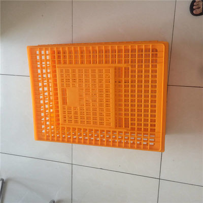 Plastic crates for the transfer of chickens