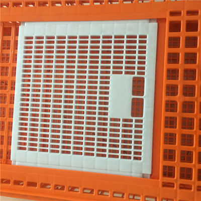 Plastic crates for the transfer of chickens