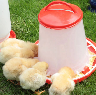 Poultry Drinking Chicken Feeding Line 1kg-20kg Broiler Automatic Feeder