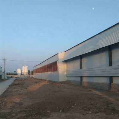 Automatic Quail Feeding and Drinking System For Poultry House Equipment, Poultry Feeder For Broiler and Breeder