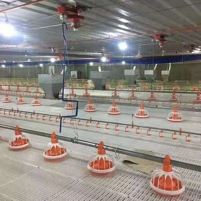 Automatic Quail Feeding and Drinking System For Poultry House Equipment, Poultry Feeder For Broiler and Breeder