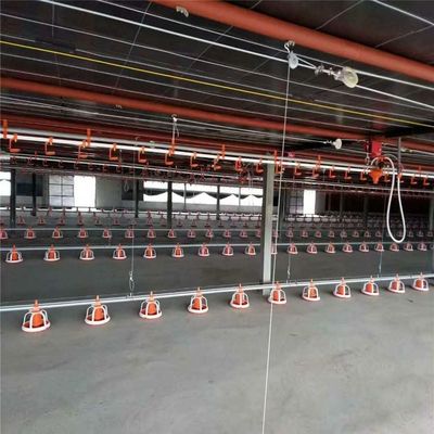 Automatic Quail Feeding and Drinking System For Poultry House Equipment, Poultry Feeder For Broiler and Breeder