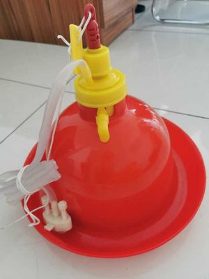 Chicken Plasson Bell Drinker For Poultry Farm Plasson Drinker,Automatic Poultry Chicken Plasson Plastic Drinker for Hens
