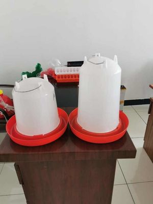 Poultry Automatic Animal Water Drinker For Chicken,Automatic Poultry Chicken Drinker Plastic Bell Drinking Bucket