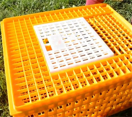 Farm Plastic Poultry Transport Crates Yellow Chicken Carrier Cage