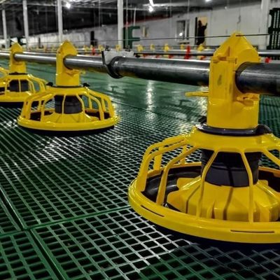 Female Breeder Farm Equipment Drinkers and Feeders for Chickens Breeder Pan Feeding System Philippines 12 Years Provided