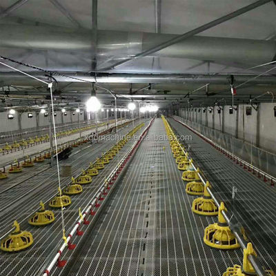 Intelligent Automatic Broiler Feeding System Hopper Poultry Feeder