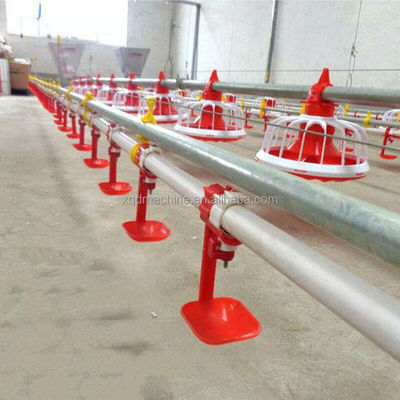 Ss304 Poultry Automatic Drinkers Automatic Chicken Watering System