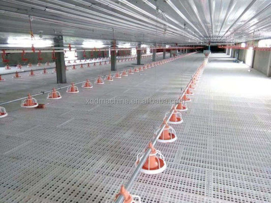 Ss304 Poultry Automatic Drinkers Automatic Chicken Watering System