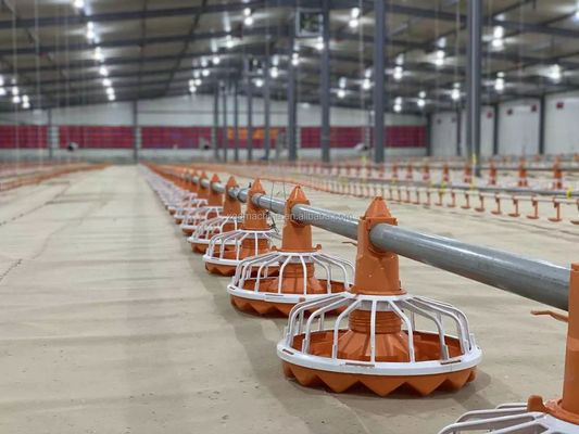 Farms Automatic Poultry Feeder System Pan Feeder Poultry 99 Times