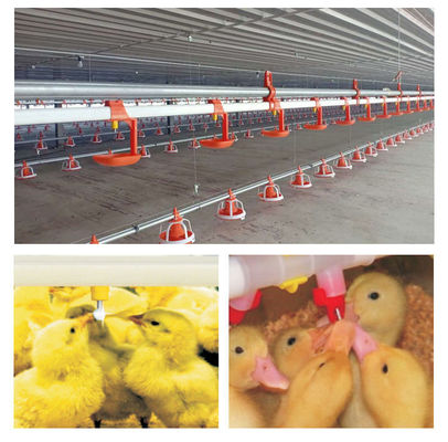 Broiler Nipple Drinker Automatic Chicken Drinker For Poultry Farming Equipment