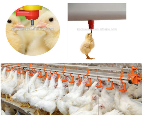 Automatic Nipples Water Drinking system animal poultry poultry water line for chicken